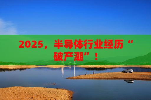 2025，半导体行业经历“破产潮”！  第1张