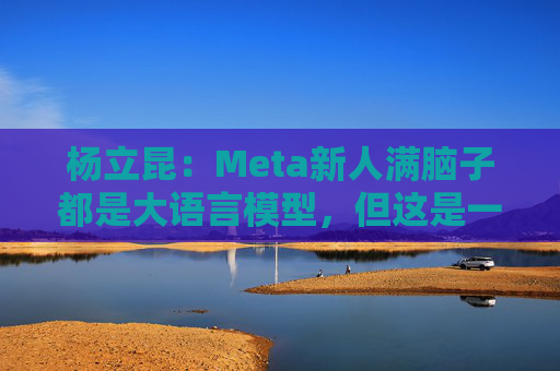 杨立昆：Meta新人满脑子都是大语言模型，但这是一条死胡同