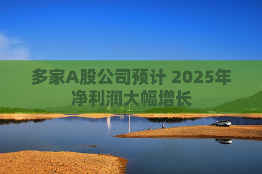 多家A股公司预计 2025年净利润大幅增长