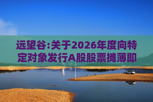远望谷:关于2026年度向特定对象发行A股股票摊薄即期回报及填补措施和相关主体承诺的公告