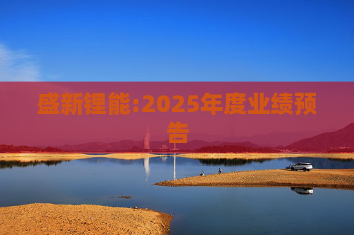 盛新锂能:2025年度业绩预告