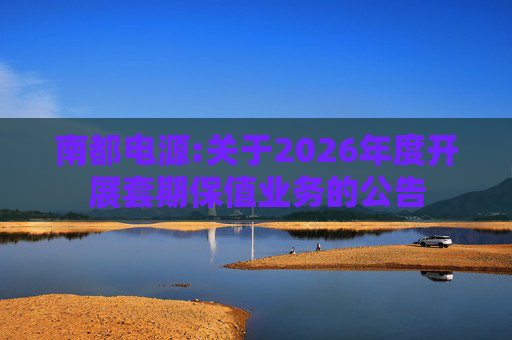 南都电源:关于2026年度开展套期保值业务的公告