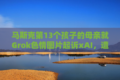 马斯克第13个孩子的母亲就Grok色情图片起诉xAI，遭后者反诉  第1张