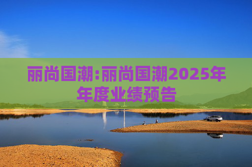 丽尚国潮:丽尚国潮2025年年度业绩预告  第1张