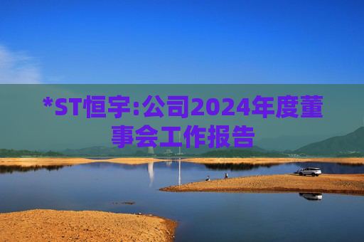 *ST恒宇:公司2024年度董事会工作报告  第1张