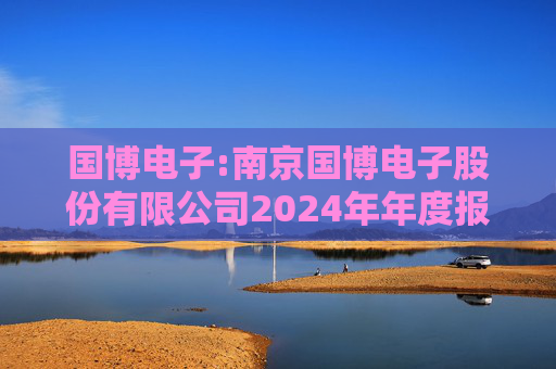 国博电子:南京国博电子股份有限公司2024年年度报告