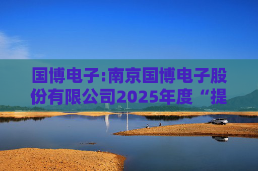 国博电子:南京国博电子股份有限公司2025年度“提质增效重回报”行动方案  第1张