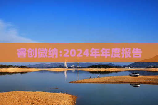 睿创微纳:2024年年度报告