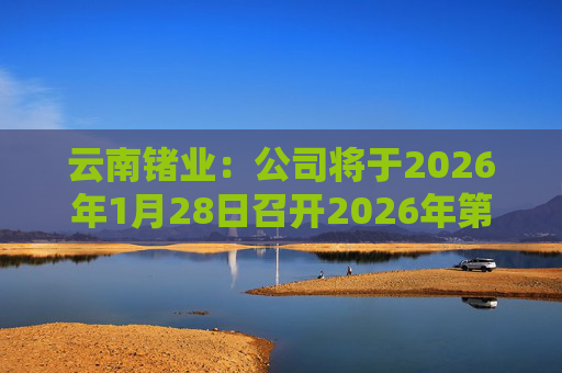 云南锗业：公司将于2026年1月28日召开2026年第一次临时股东会