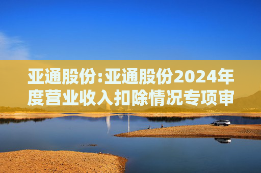 亚通股份:亚通股份2024年度营业收入扣除情况专项审核意见  第1张