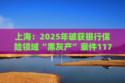 上海：2025年破获银行保险领域“黑灰产”案件117起 持续净化金融生态