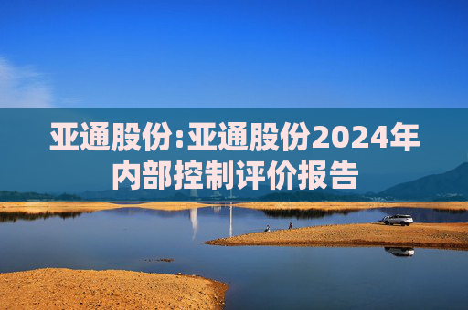 亚通股份:亚通股份2024年内部控制评价报告  第1张