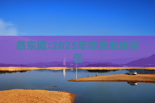 燕东微:2025年年度业绩预告