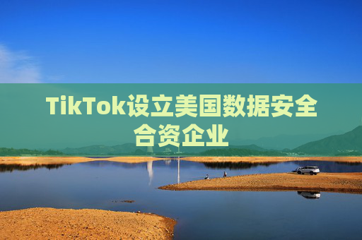 TikTok设立美国数据安全合资企业