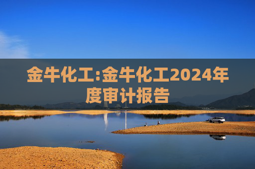金牛化工:金牛化工2024年度审计报告