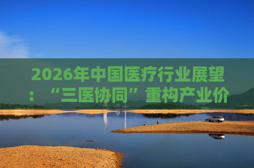 2026年中国医疗行业展望：“三医协同”重构产业价值链
