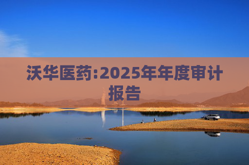 沃华医药:2025年年度审计报告