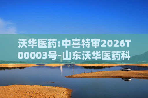 沃华医药:中喜特审2026T00003号-山东沃华医药科技股份有限公司-关联资金占用报告
