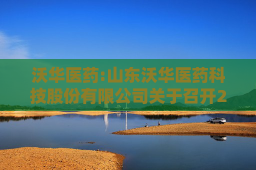 沃华医药:山东沃华医药科技股份有限公司关于召开2025年度股东会的通知