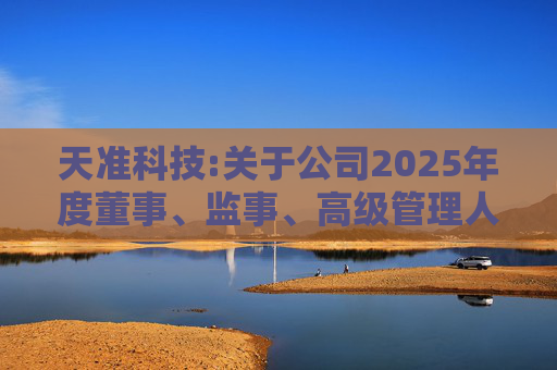 天准科技:关于公司2025年度董事、监事、高级管理人员薪酬方案的公告  第1张