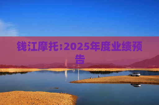 钱江摩托:2025年度业绩预告