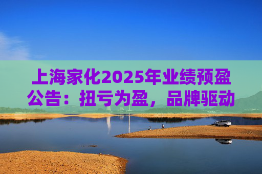 上海家化2025年业绩预盈公告：扭亏为盈，品牌驱动重回增长轨道