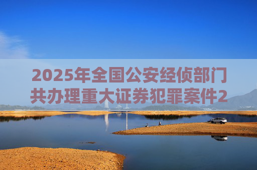 2025年全国公安经侦部门共办理重大证券犯罪案件200余起