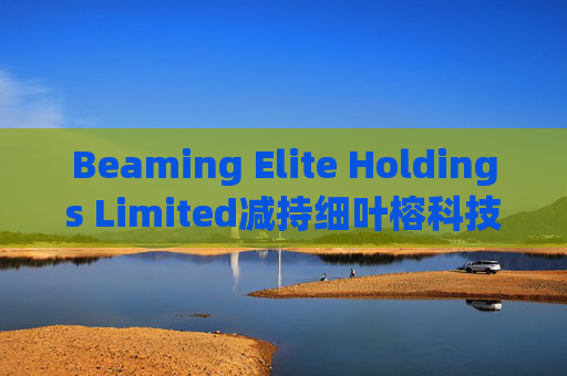 Beaming Elite Holdings Limited减持细叶榕科技(08107)254.5万股 每股作价0.1776港元