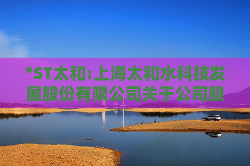 *ST太和:上海太和水科技发展股份有限公司关于公司股票可能被终止上市的风险提示公告