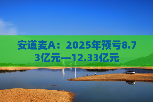 安道麦A：2025年预亏8.73亿元—12.33亿元  第1张