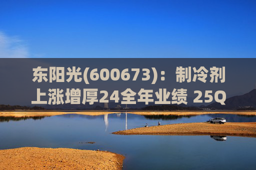 东阳光(600673):制冷剂上涨增厚24全年业绩 25Q1业绩略超预期 液冷与具身智能共创未来