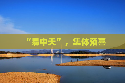 “易中天”，集体预喜