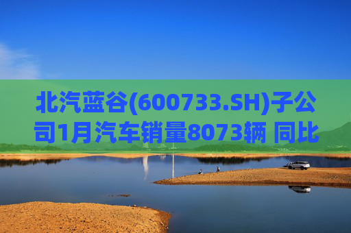 北汽蓝谷(600733.SH)子公司1月汽车销量8073辆 同比增长11.83%