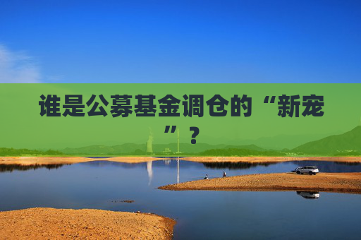 谁是公募基金调仓的“新宠”？  第1张