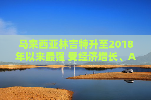 马来西亚林吉特升至2018年以来最强 受经济增长、AI乐观情绪所提振