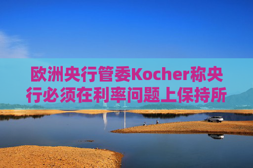 欧洲央行管委Kocher称央行必须在利率问题上保持所有选项开放