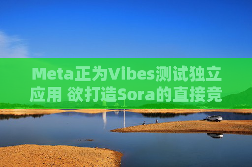 Meta正为Vibes测试独立应用 欲打造Sora的直接竞品
