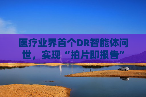 医疗业界首个DR智能体问世，实现“拍片即报告”