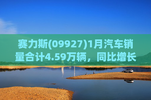 赛力斯(09927)1月汽车销量合计4.59万辆，同比增长104.85%  第1张