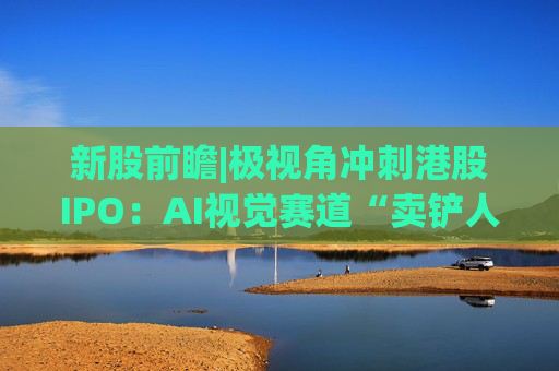 新股前瞻|极视角冲刺港股IPO：AI视觉赛道“卖铲人”潜力可期，盈利波动困境难解