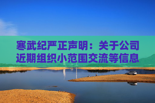 寒武纪严正声明：关于公司近期组织小范围交流等信息为不实信息