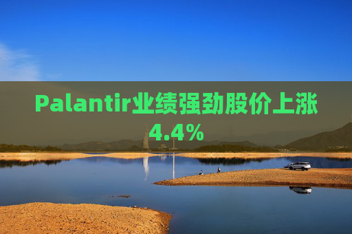 Palantir业绩强劲股价上涨4.4%