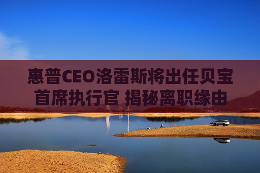 惠普CEO洛雷斯将出任贝宝首席执行官 揭秘离职缘由  第1张