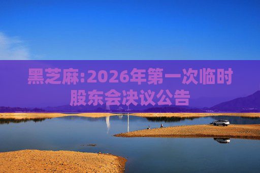 黑芝麻:2026年第一次临时股东会决议公告
