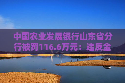 中国农业发展银行山东省分行被罚116.6万元：违反金融统计相关规定