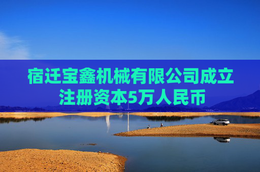 宿迁宝鑫机械有限公司成立 注册资本5万人民币