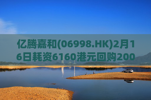 亿腾嘉和(06998.HK)2月16日耗资6160港元回购2000股