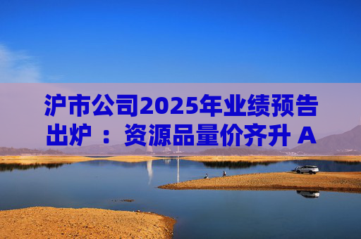 沪市公司2025年业绩预告出炉 ：资源品量价齐升 AI链景气延续