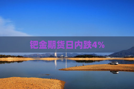 钯金期货日内跌4%