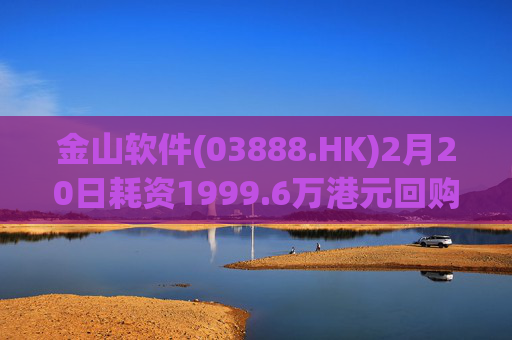 金山软件(03888.HK)2月20日耗资1999.6万港元回购73.2万股